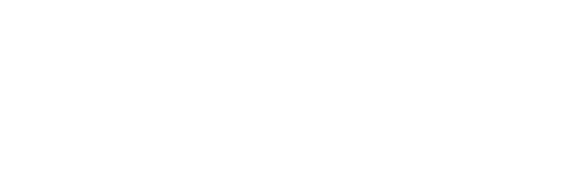 BravoLogix Logo Footer